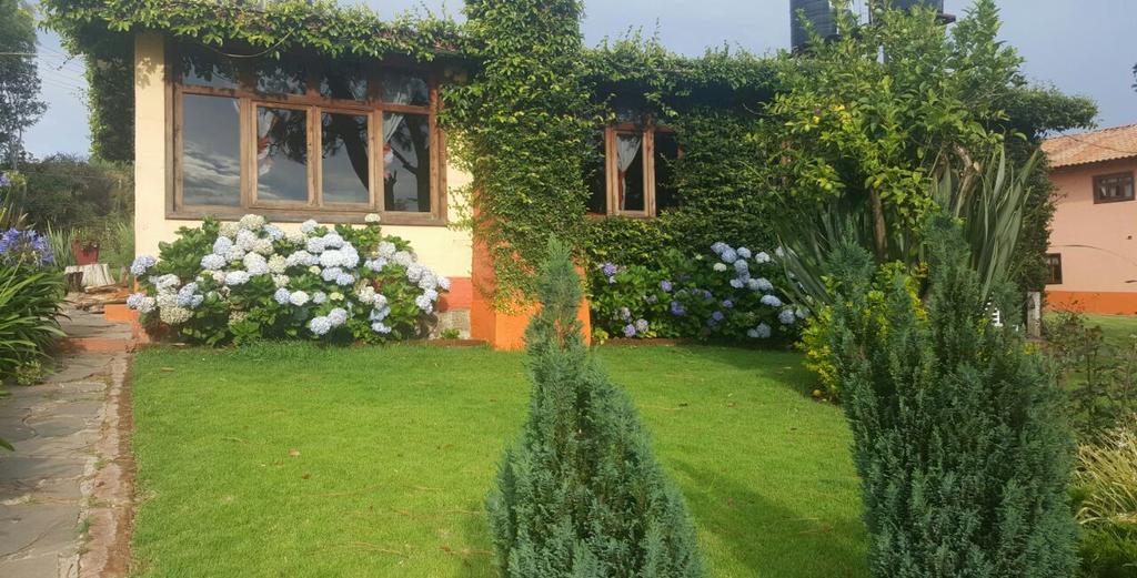 Cabanas En Mazamitla Betito Villa Eksteriør bilde